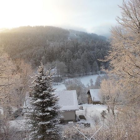Haus Vor Den Eichen Fuer Familien Willingen (Upland) Exterior foto