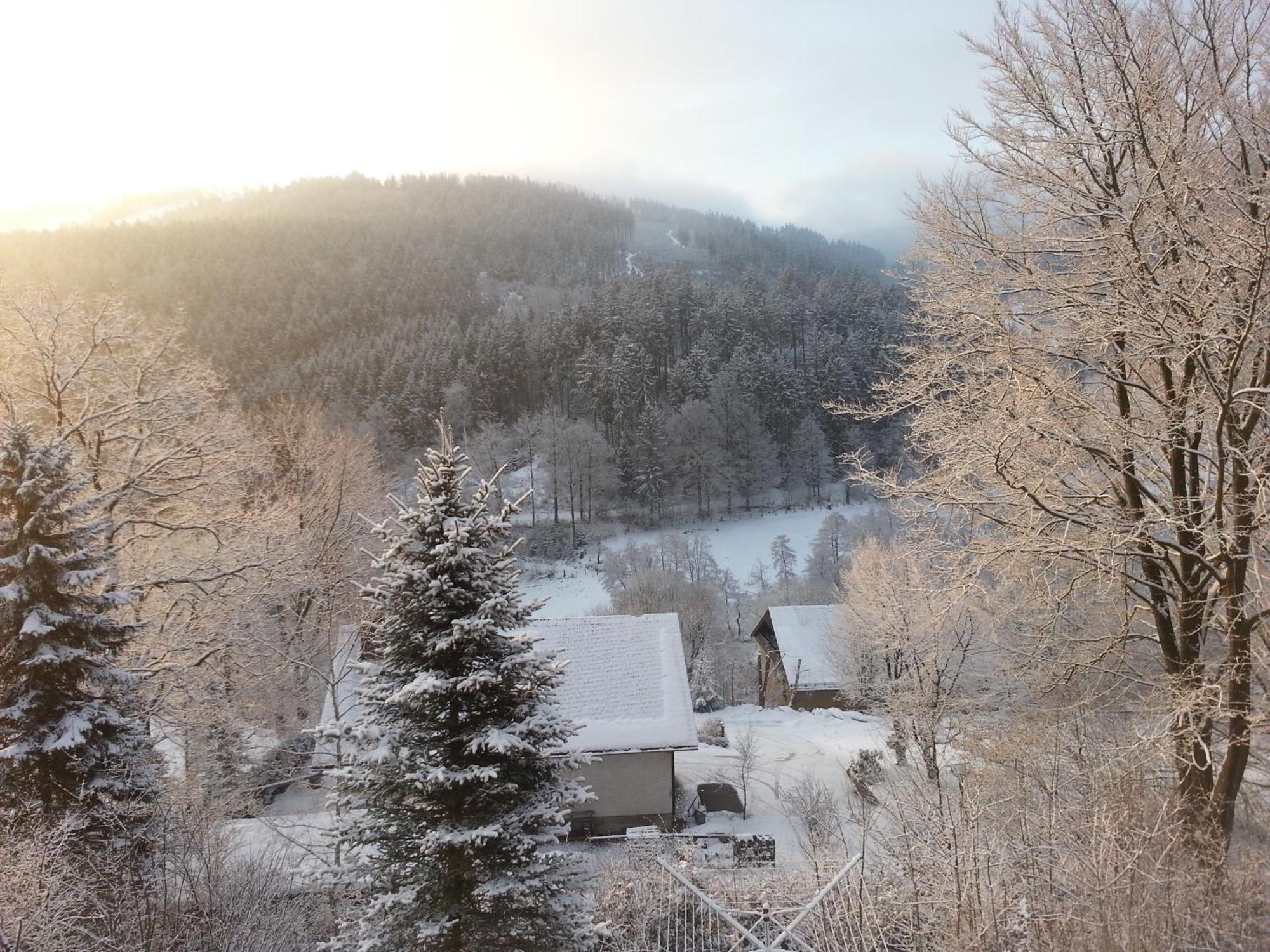 Haus Vor Den Eichen Fuer Familien Willingen (Upland) Exterior foto